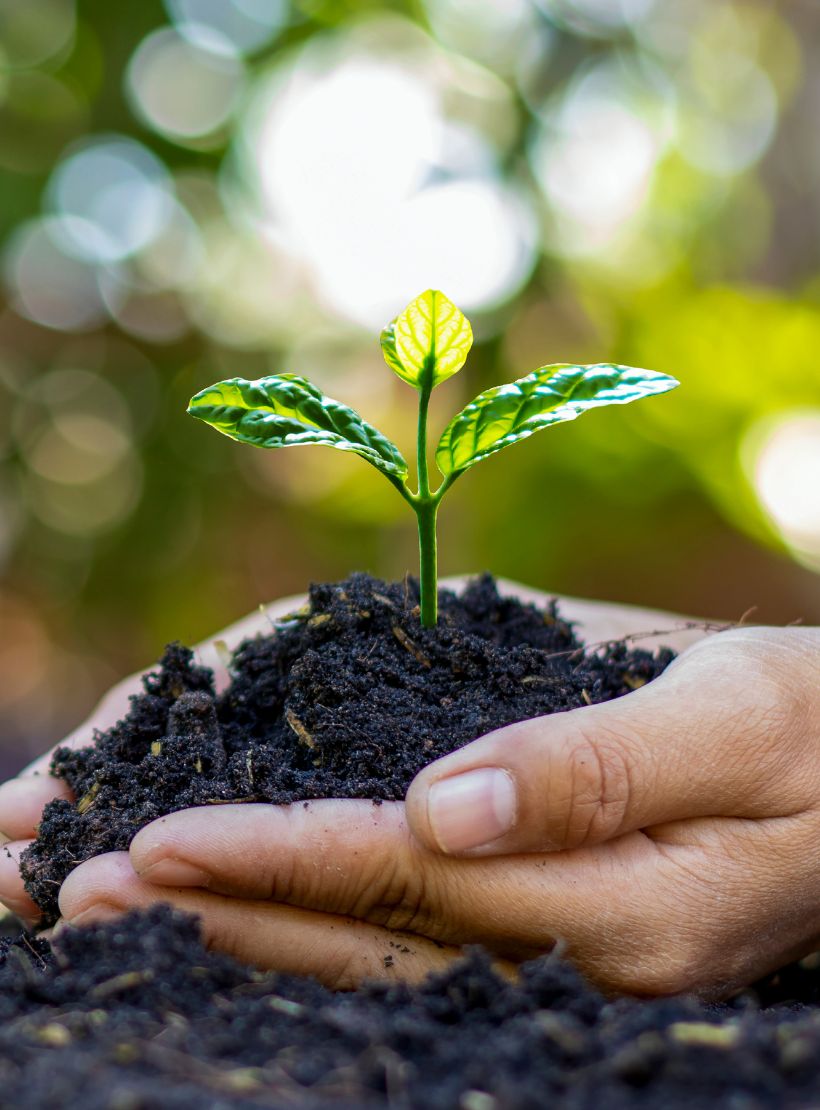 This image for Image Layouts addon