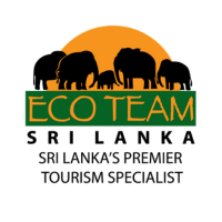 Sustainability Efforts by Eco Team Sri Lanka
